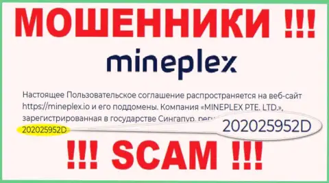 Номер регистрации очередной мошеннической компании МинеПлекс - 202025952D