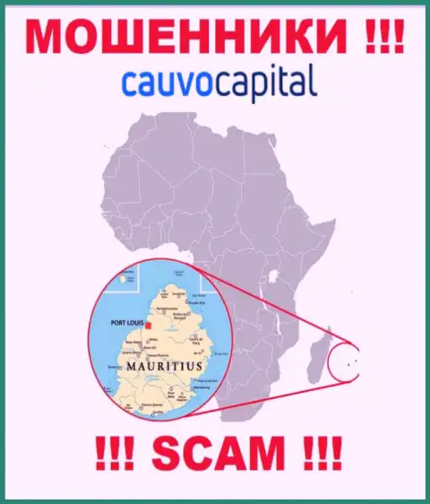 Контора CauvoCapital сливает средства наивных людей, зарегистрировавшись в офшоре - Маврикий