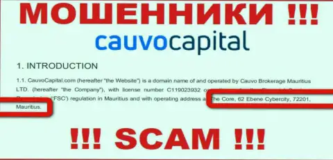 Невозможно забрать назад средства у конторы Кауво Капитал - они скрылись в офшоре по адресу The Core, 62 Ebene Cybercity, 72201, Mauritius