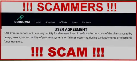 Coinumm Com cheaters aren't liable for customer losses