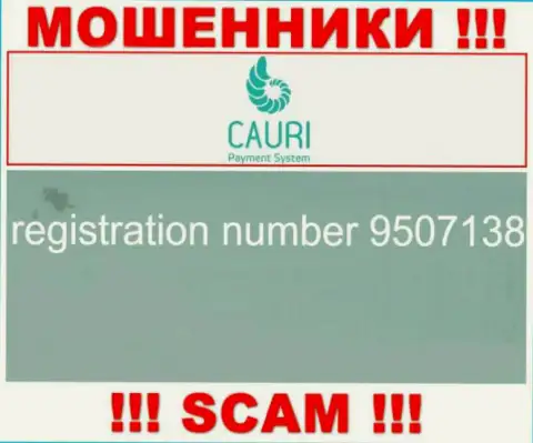 Регистрационный номер, принадлежащий противозаконно действующей компании Каури - 9507138