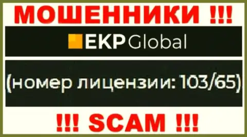 На веб-портале EKP-Global Com имеется лицензия, только вот это не меняет их мошенническую суть