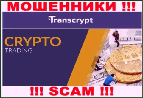 TransCrypt Eu - это мошенники !!! Область деятельности которых - Crypto trading