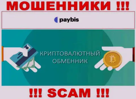 Крипто обменник - это направление деятельности противоправно действующей конторы PayBis Com