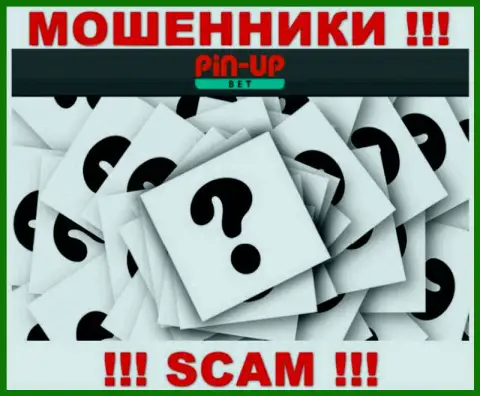 На веб-сервисе Pin Up Bet не указаны их руководители - мошенники безнаказанно воруют вклады