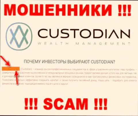 Юридическим лицом, владеющим интернет-мошенниками Custodian, является ООО Кастодиан