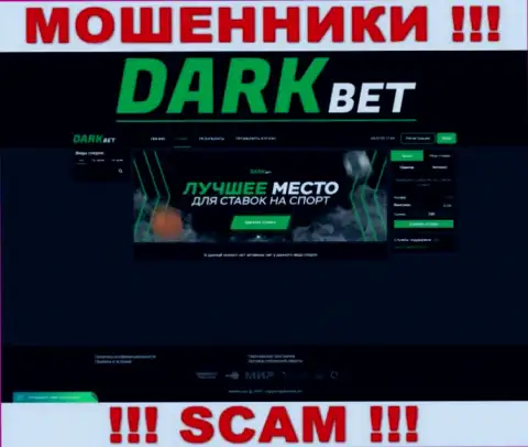 Фальшивая информация от мошенников ДаркБет на их официальном сайте DarkBet Pro