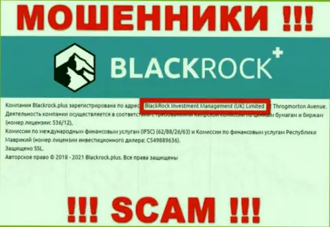 Руководителями Black Rock Plus оказалась компания - БлэкРок Инвестмент Менеджмент (УК) Лтд