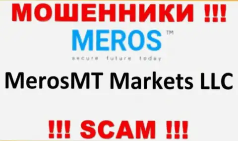 Организация, управляющая ворюгами MerosTM Com - это MerosMT Markets LLC