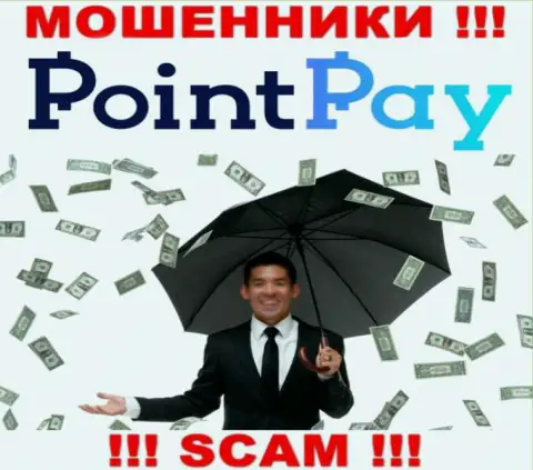 Не угодите в ловушку internet мошенников Point Pay, финансовые вложения не вернете