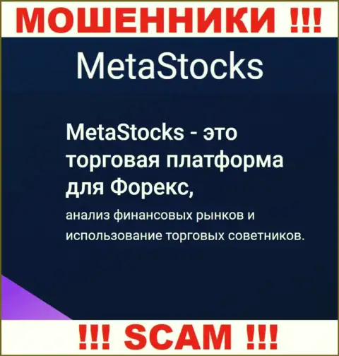 FOREX - в указанной области орудуют настоящие интернет-мошенники Meta Stocks