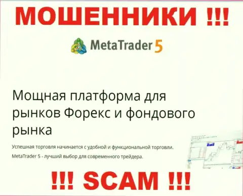 Опасно совместно сотрудничать с разводилами MetaTrader 5, сфера деятельности которых Торговая платформа