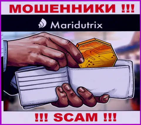 Крипто-кошелек - именно в этой области прокручивают делишки наглые интернет-мошенники Maridutrix