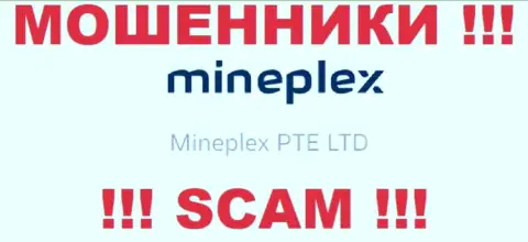 Руководством MinePlex является компания - Mineplex PTE LTD