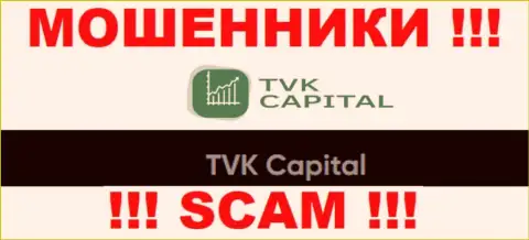 TVK Capital - это юр лицо интернет обманщиков TVKCapital