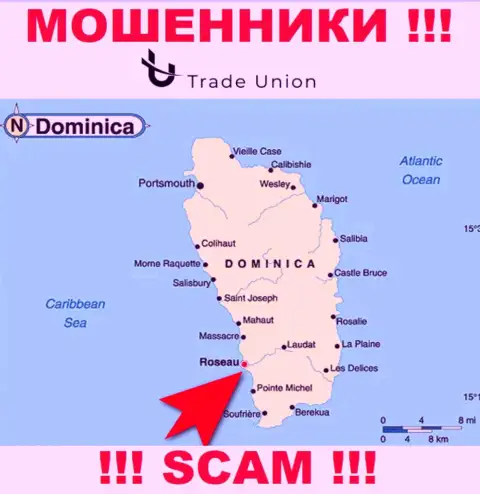 Commonwealth of Dominica - здесь юридически зарегистрирована контора ТрейдЮнион