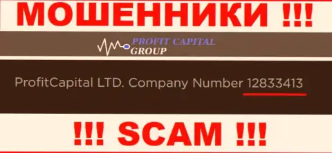 Рег. номер ProfitCapitalGroup, который указан обманщиками на их веб-сайте: 12833413