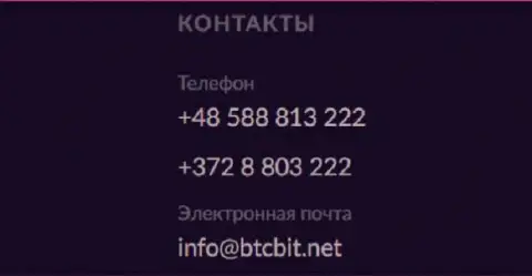 Номера телефонов и электронный адрес обменника BTC Bit