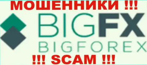 BigFX - это МОШЕННИКИ !!! SCAM !!!