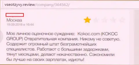 Kokoc Group (WebProfy) - это отвратительная компания, автор комментария сотрудничать с ней не советует (мнение)