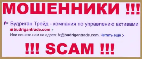 BudriganTrade Com - это МАХИНАТОРЫ !!! SCAM !!!